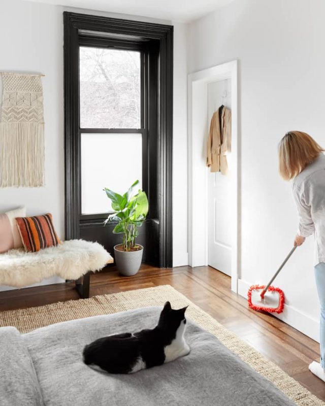 10 Основных чистящих средств, которые должны быть в каждом доме